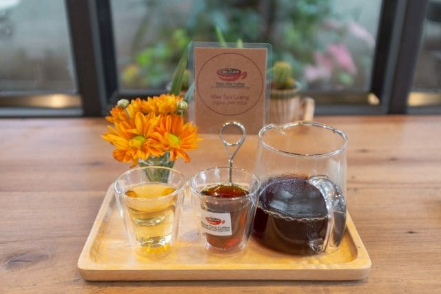 chiang mai coffee