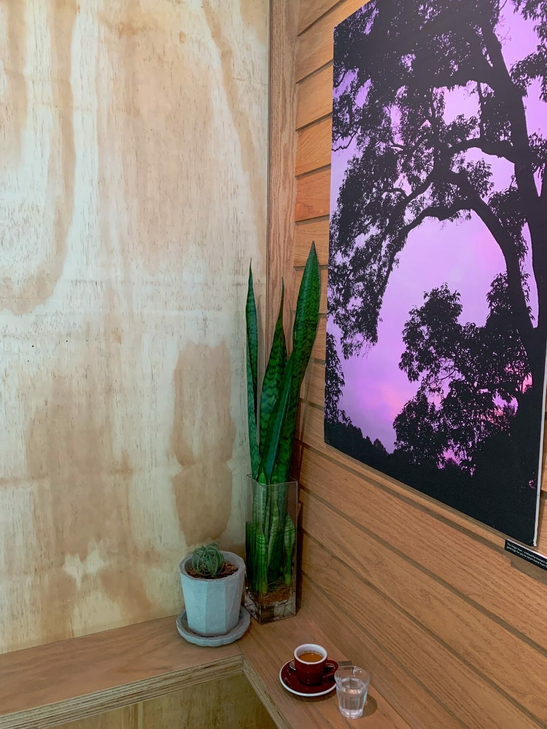 Roots cafe espresso shot